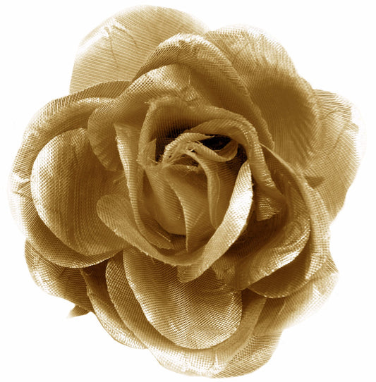 Shimmer Cabbage Roses (2pc)