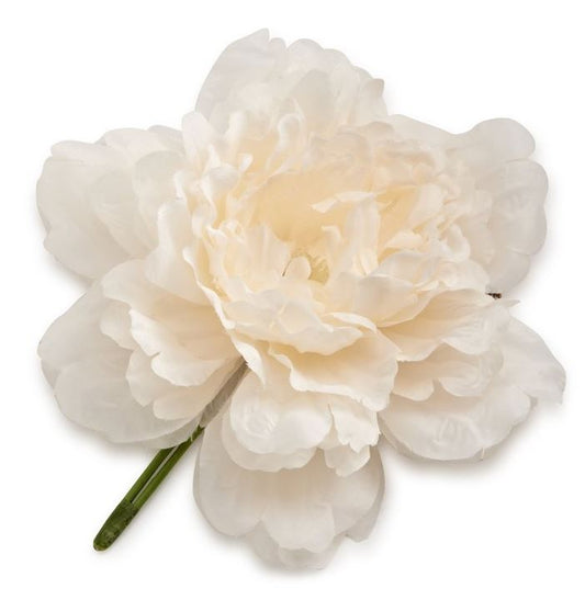 Princess Peony Flower